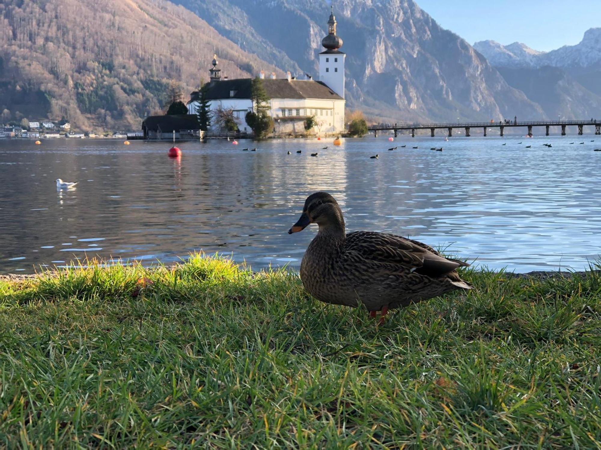 Seepanorama An Der Esplanade 1 グムンデン エクステリア 写真
